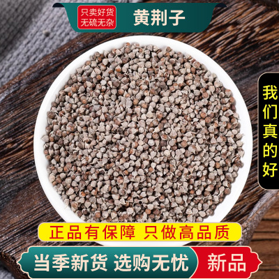 甄选黄荆子100克干货正品新货煮水泡茶黄黄荆子布荆仁9260