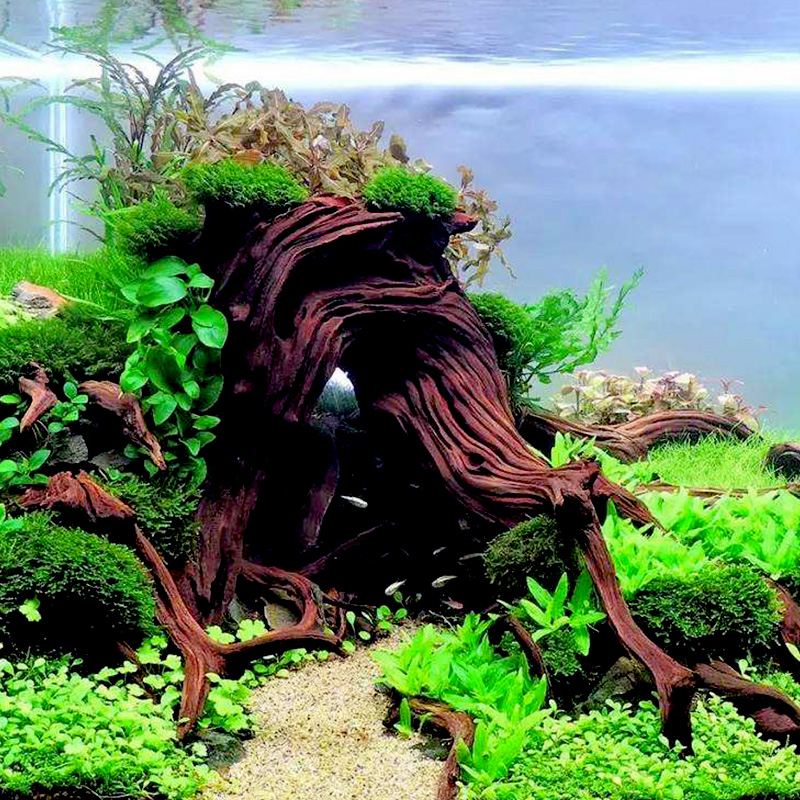 水基肥缓释基肥底肥鱼缸铺底肥料水族箱造景底砂水有机基肥砂