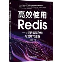 [N]高效使用Redis(一书学透数据存储与高可用集群)/数据库技术丛书-9787111740124