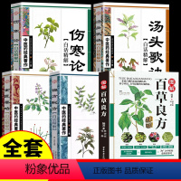 [正版]全5册 图解百草良方+偏方秘方+汤头歌诀+金匮要略 中药书籍中医基础入门中药材药方中医养生中草药中药材偏方药方