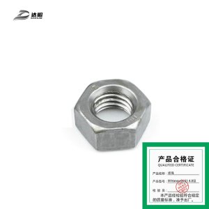 达昭 螺母 本色 M16mm Q235 4.8级(1个)