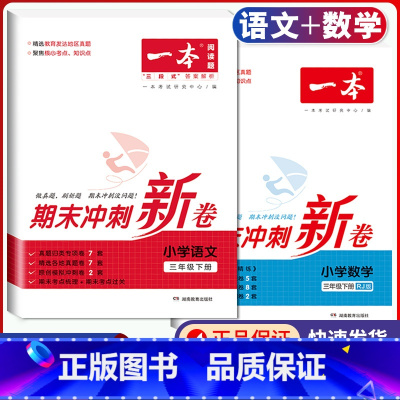 3年级下册 语文+数学 期末冲刺新卷 小学通用 [正版]小学期末冲刺新卷语文数学一年级二年级三年级上册下册四五六年级人教