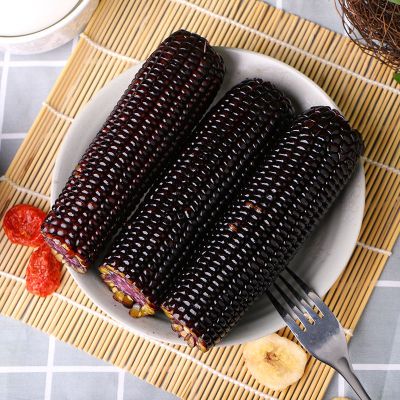 玉米新鲜真空包装香甜粘糯即食小黑玉米棒苞米批发粗粮代餐10根小棒黑糯