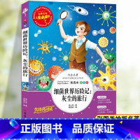 [四下]灰尘的旅行 [正版]地球的故事四年级下册课外书阅读必读老师快乐读书吧人教版爷爷的爷爷哪里来灰尘的旅行十万个为什么