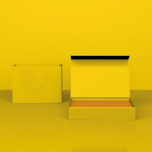 收纳盒190×130×35mm(带手提袋)