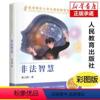 非法智慧 [正版]非法智慧中小学生阅读指导书系张之路著彩图趣味儿童文学6-8-12岁青少年儿童文学科幻小说经典故事人民教
