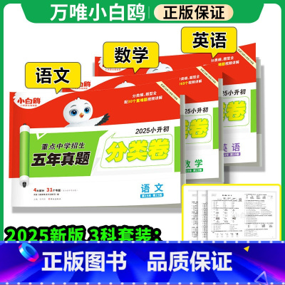 [划算❤3本]语数英(分类卷) 小学升初中 [正版]2025新版万唯小白鸥星空小升初分类卷真题卷人教版语文数学思维训练英