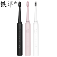 铁洋 电动牙刷 EB512 个