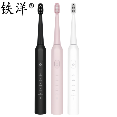 铁洋 电动牙刷 EB512 个