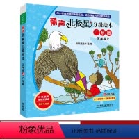 [正版]丽声北极星分级绘本五年级上(广东版)