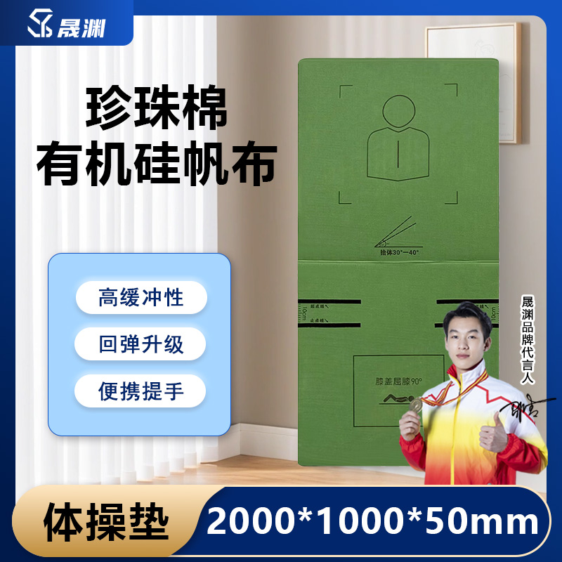 晟渊 YT215仰卧卷腹训练垫仰卧起坐折叠垫[牛津布两折叠] 5个装 200*100*5cm