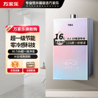 万家乐零冷感JSQ30-16R9(F)燃气热水器 水伺服双一级节能电辅防冻16升天然气