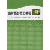 正版新书]图片摄影技艺教程王真9787507830347