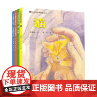 语文课精选经典绘本系列 济南的冬天 北京的春节 春 匆匆 猫 朱自清等 著 绘本