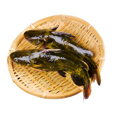 鲜活黄辣丁排行榜