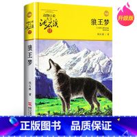 [正版]狼王梦沈石溪动物小说书籍全本全套青少青少年版7-10-12-14岁儿童文学小说寓言故事书中小学生课外阅读浙江少