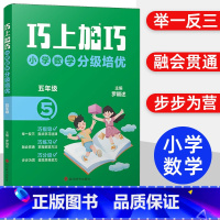 巧上加巧 五年级 小学通用 [正版]2024新版小学二三四五六年级数学同步培优书籍 巧上加巧 小学数学分级培优 2-6年
