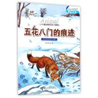 正版新书]五花八门的痕迹/小牛顿动物百科大揭秘陈奇97875328974
