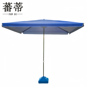 蕃蒂