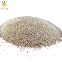 廷豪果 早熟禾草籽 绿化草坪种子 包衣 /千克