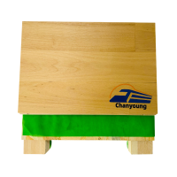 晨洋(Chanyoung)双龙骨运动木地板 HYTY-022 平米