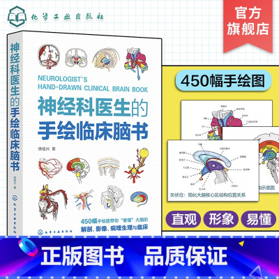 [正版]神经科医生的手绘临床脑书 徐桂兴 颅脑解剖神经系统生理与病理 低年资医生神经科医师及医学生参考书籍 临床神经科