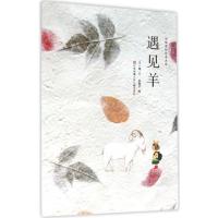 中华原创绘本大系:遇见羊