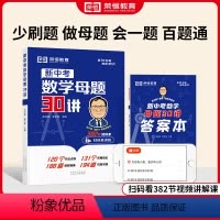初中数学母题 初中通用 [正版]初中数学母题一本通大全 新中考数学母题30讲 初中一二三核心考点百变解题思维方法与技巧题