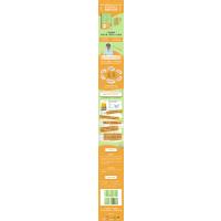 [友一正版]百岁生活 田秀树写给所有人的百岁人生指南 活过100岁的44条秘诀 同系列百岁人生 书籍