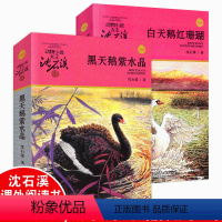 [正版] 全集2册白天鹅红珊瑚黑天鹅紫水晶彩色插图本动物小说大王沈石溪品藏书系中小学生课外书7-8-10-12-14岁