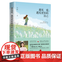 遇见爱,遇见更好的自己 苏岑,情感作家、国家心理咨询师兰心作品