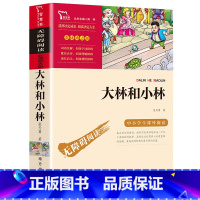 大林和小林 [正版]青铜葵花曹文轩纯美小说系列四年级五六年级必读课外书小学生课外阅读书籍儿童文学获奖作品青少年版北京少年