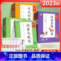 语文·积累与默写(下册) 小学六年级 [正版]2024版53小学基础练语文积累与默写一二年级三年级四年级五年级六年级上下