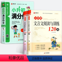 [全3册]小升初满分作文+古诗词+文言文阅读与训练120篇 小学升初中 [正版]2024小升初满分作文大全人教版 小学生