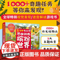 精装 5分钟专注力思维训练 缤纷世界 3-6岁儿童幼儿视觉发现迷宫揭秘游戏书 思维启蒙绘本 观察力逻辑力专注力提升正版图