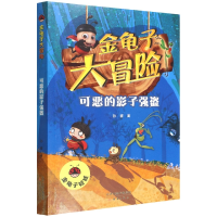 音像可恶的影子强盗/金龟子大冒险孙睿