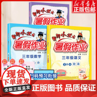2023新版黄冈小状元暑假作业三四年级语文数学英语下册人教版小学三升四暑假衔接暑假作业专项训练