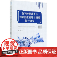 数字转型背景下创意价值创造与消费提升研究