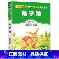 注音版坡完整内容 [正版]班主任 坡注音版 小学生三年级课外书必读一年级二年级阅读书籍1-2-3年级带拼音读物老