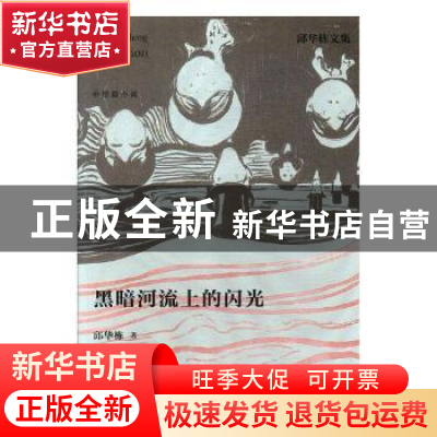 正版 黑暗河流上的闪光 邱华栋著 江苏凤凰文艺出版社 9787559405