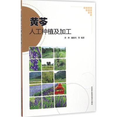 黄芩人工种植及加工