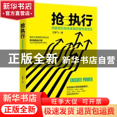正版 抢执行:拼赢现在和未来靠的是快速落实 王群飞著 中国致公出