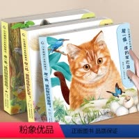 [套装3册]小手摸摸大自然触摸书 [正版]幼儿早教触摸书4册宝宝0-3岁 触感刺激认知书本机关书