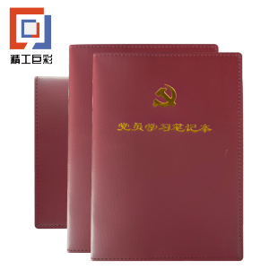 精工巨彩 资料夹 A4 个