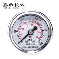 嘉禾长久 耐震压力表检测定制型 YTN50Z 块