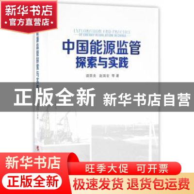 正版 中国能源监管探索与实践 谭荣尧,赵国宏等著 人民出版社 97