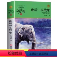[正版]后一头战象书 沈石溪动物小说品藏书系全集中小学生课外阅读书籍7-9-10-12岁青少年版儿童文学三四五六年级必