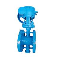 智铮朗月 铸钢涡轮硬密封法兰蝶阀 D373H-16C DN250 个