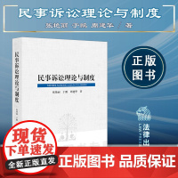 民事诉讼理论与制度 张艳丽 于鹏 周建华 法律出版社 9787519700461