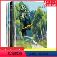少年狼·1额仑草原 [正版]少年狼单册任选安波舜著额仑草原哈敦狼群哲别山谷松神诺古拉儿童励志成长小说完结篇少儿成长不可错
